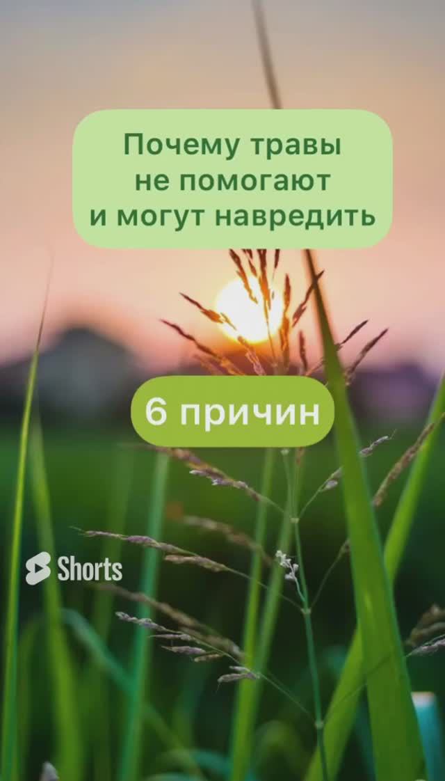 Почему травы не помогают и могут навредить