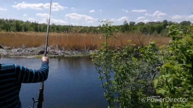 КРАСИВАЯ ПРИРОДА ВОРОНЕЖСКАЯ ОБЛАСТЬ