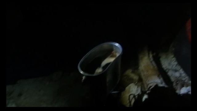 Гробы 4