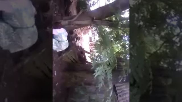 Веселая жизнь пьяной соседки))
