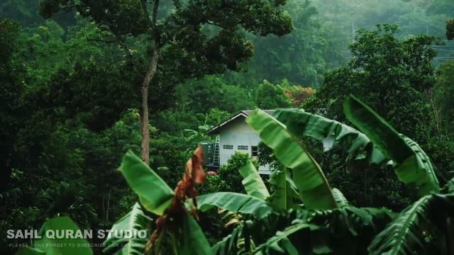 Rain and Peace Quran Recitation for sleeping relaxation meditation quranrain quranrecitation