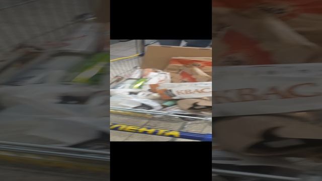 Прогулка по Ленте. Подготовка к шашлыкам.