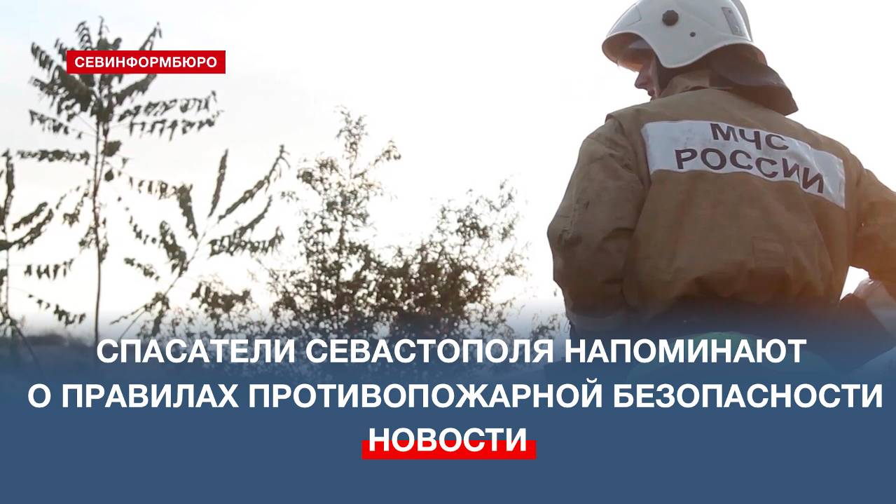 В Севастополе зарегистрировано 13 лесных пожаров