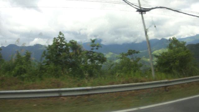 По дороге через леса доисторической Гондваны. Остров Борнео-Калимантан