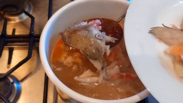 уха з лосося по-домашньому рибна юшка