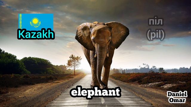 15 similar translations of word "elephant" in World languages / 15 "ترجمات مماثلة لكلمة "الفيل