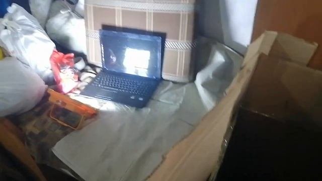 27.11.2023.Шанс-обрести умного котёнка-друга из Уссурийска!+79241232444.Ютуб/к:Владимир Стороженко