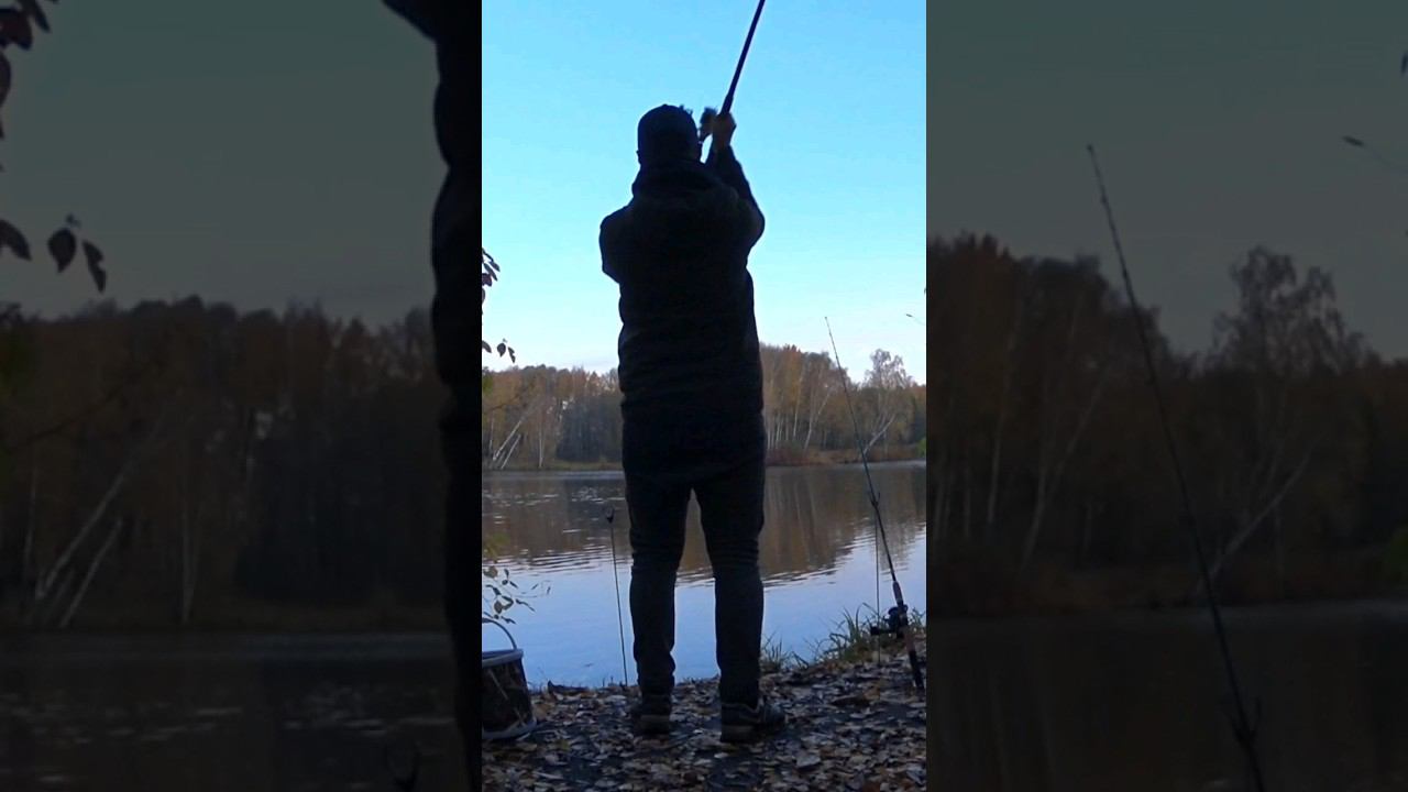 Место  где отдыхаешь душой ! Рыбалка это не хобби это образ жизни ! #shorts #fishing #feeder