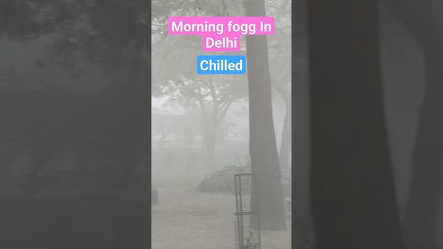 Fogg In Delhi #chilled #wind #cold #viral