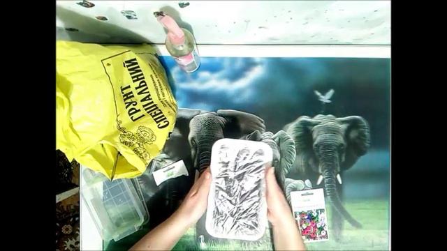 Петуния. Виращиваем без ошибок. Часть 1.