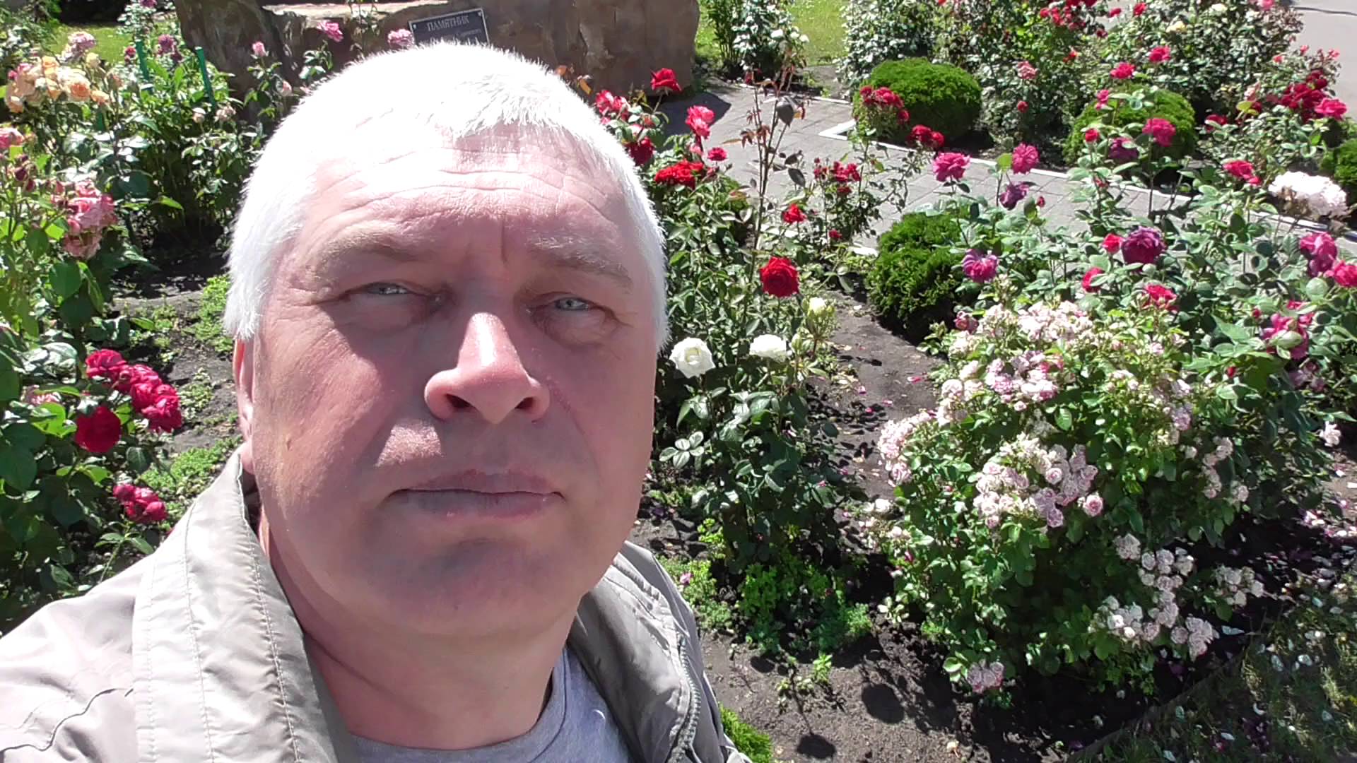 Я снимаю видео про цветы розы возле памятника