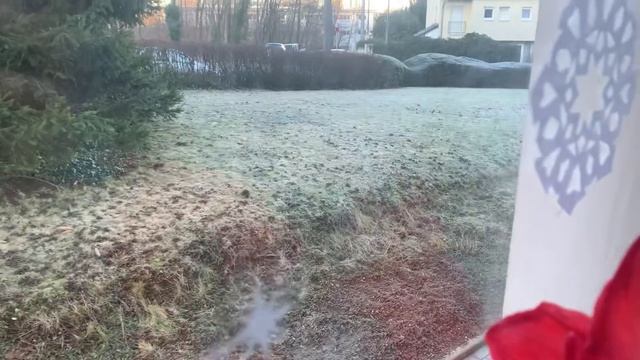 ?УЮТНЫЙ ВЛОГ.ОЧИЩАЮ ПРОСТРАНСТВО В ДЕНЬ ЗИМНЕГО СОЛНЦЕСТОЯНИЯ, ЗАКУПКА В ROSSMANN И DM?