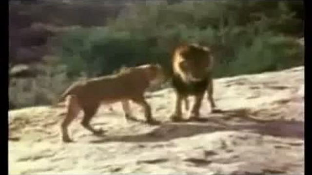Энергия Любви и Единения, часть 2