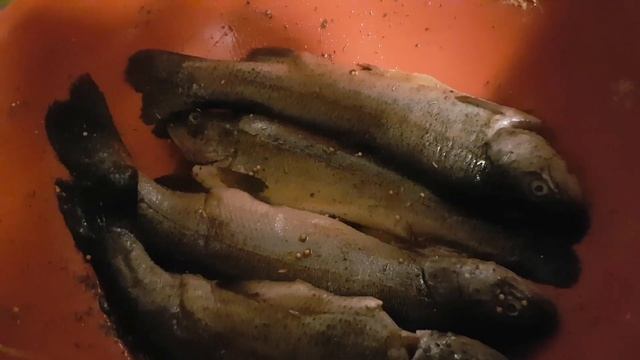 Копчение рыбы форели просто, быстро, вкусно,