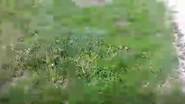 Памятник маме своими руками.