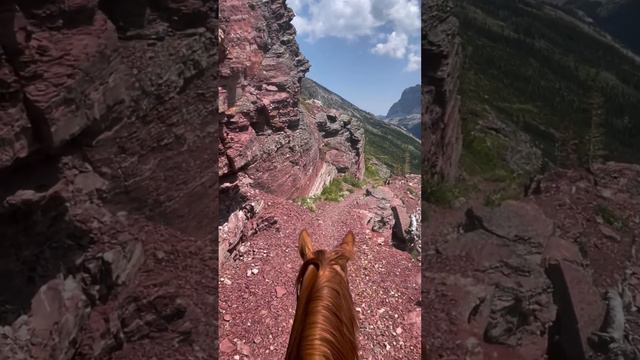 коная прогулка в горах