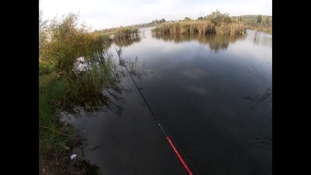 На рыбалку на ВЕЛОСИПЕДЕ!!! ЖАРКАЯ погода. ПОЛНОЕ видео ПОКЛЕВКИ щуки в камышах.