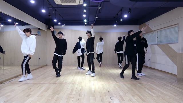 Stray Kids "Mirror" Dance Practice (Part Switch Ver.)