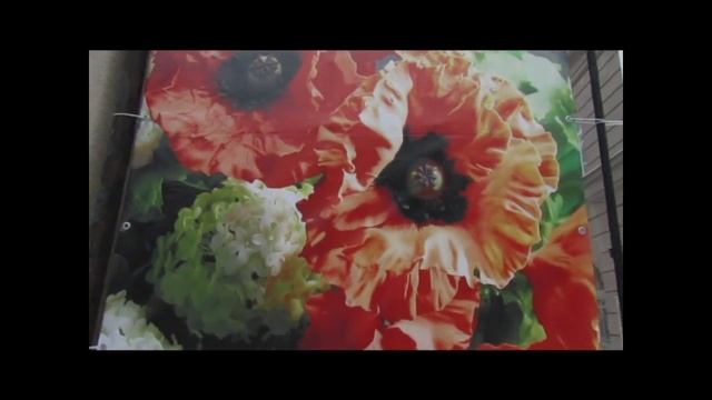 АНОНС ВЫСТАВКИ  "ДИАЛОГ ЦВЕТОВ"