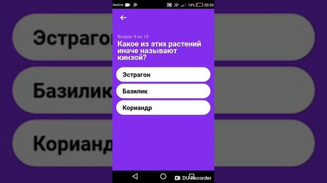 Играю в клевер