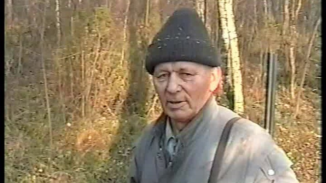 Натаска лайки по белке