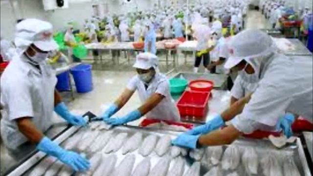 The pet seafood supply chain