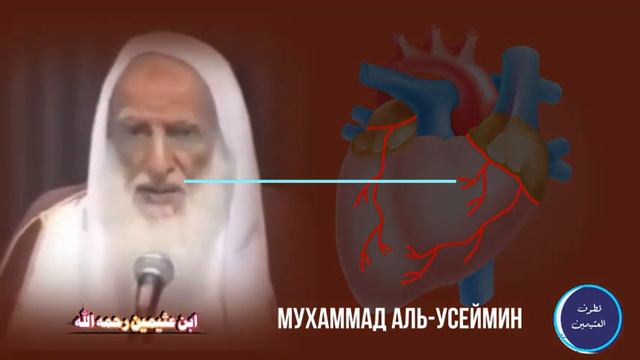 Мухаммад аль-Усеймин. Как очистить свое сердце от показухи?