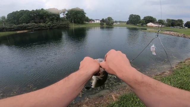 Fish Attractant Battle! Gulp vs Strike King!