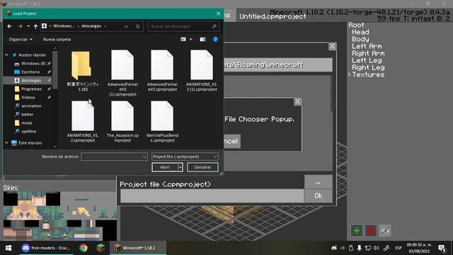 HOW TO LOAD CUSTOM PLAYER ANIMATIONS WITH CPM MOD |Complete Tutorial
