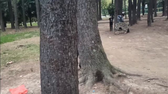 Войнушка