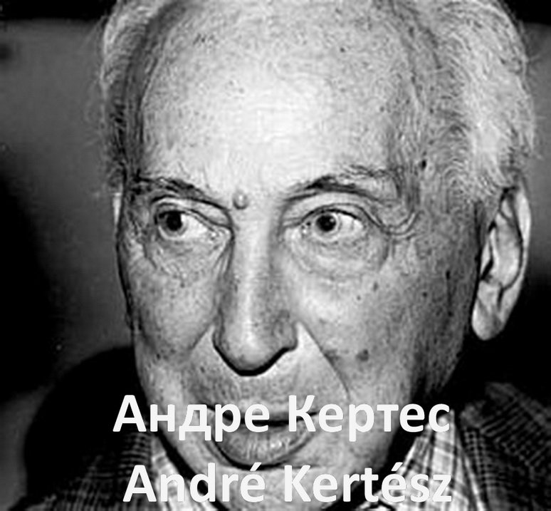 Андре Кертеш Andre Kertesz биография работы