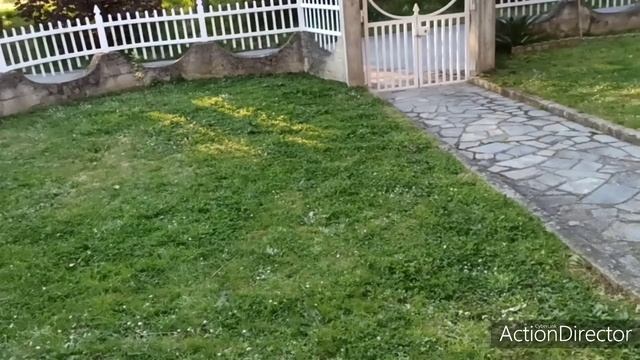 Как дезинфицировать./Мы делаем так./Мой ужин