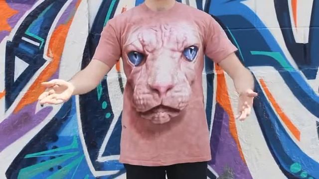 Футболки с 3D эффектом The Mountain