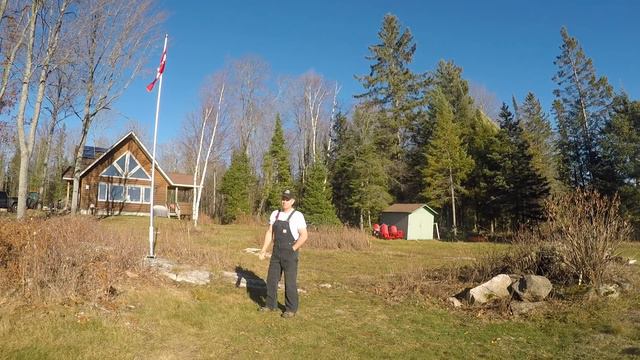 354 Remembrance Day. What were you doing at 11:00 am this morning? November 11. A shameful sight.