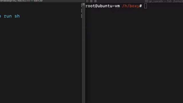 docker running with go script
