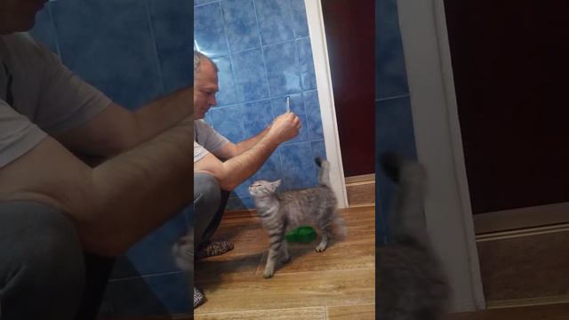 Танец кошечки.