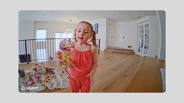 Introducing the Vivint Indoor Camera Pro