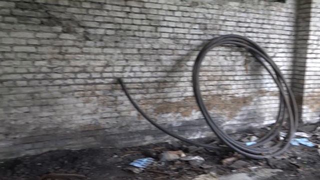 Руины института экспериментальной биологии