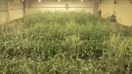 ThreeWeeksTl