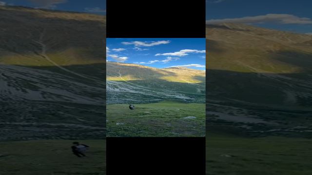 На Эльбрусе