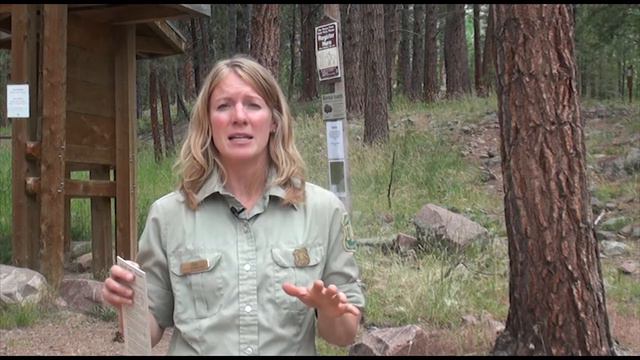 Help Save Our Wilderness