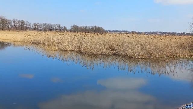 Вторая попытка поймать карася.  Красивооо!