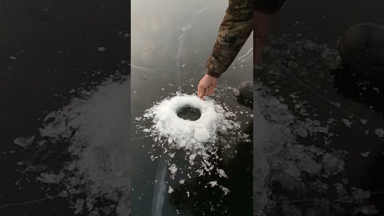 Поклевка щуки на жерлицы #Shorts