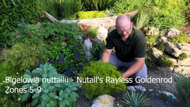 Great Plants for the Heat and the Cold