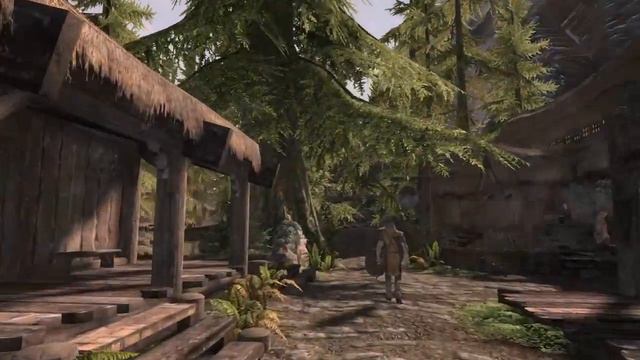 Modded skyrim on switch gameplay