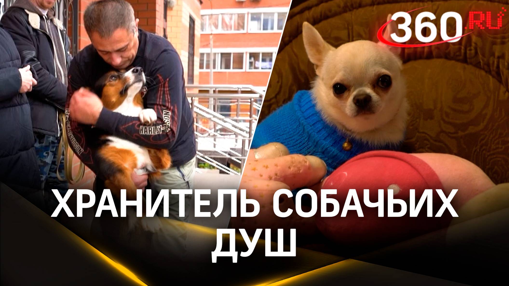Как успешный бизнесмен Игорь Айрапетян помогает бездомным животным
