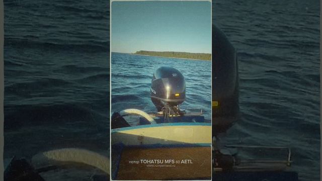 Видеоотзыв от довольного клиента на воде с новым мотором Tohatsu MFS 60 A ETL