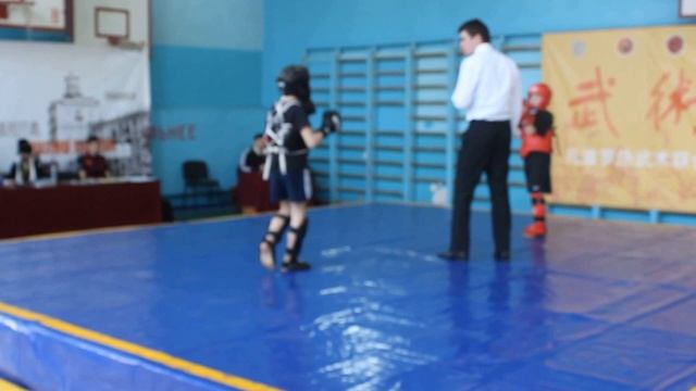 УШУ Саньшоу_Запорожье_14.02.16