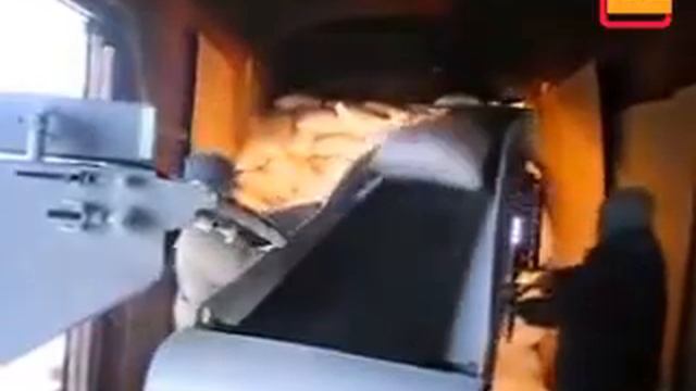 Механизированная погрузка мешков с зерном в вагоны, Республика Казахстан