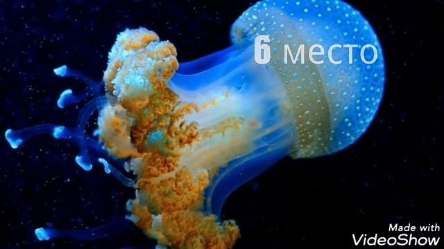 Топ 10 самых красивых фото в мире